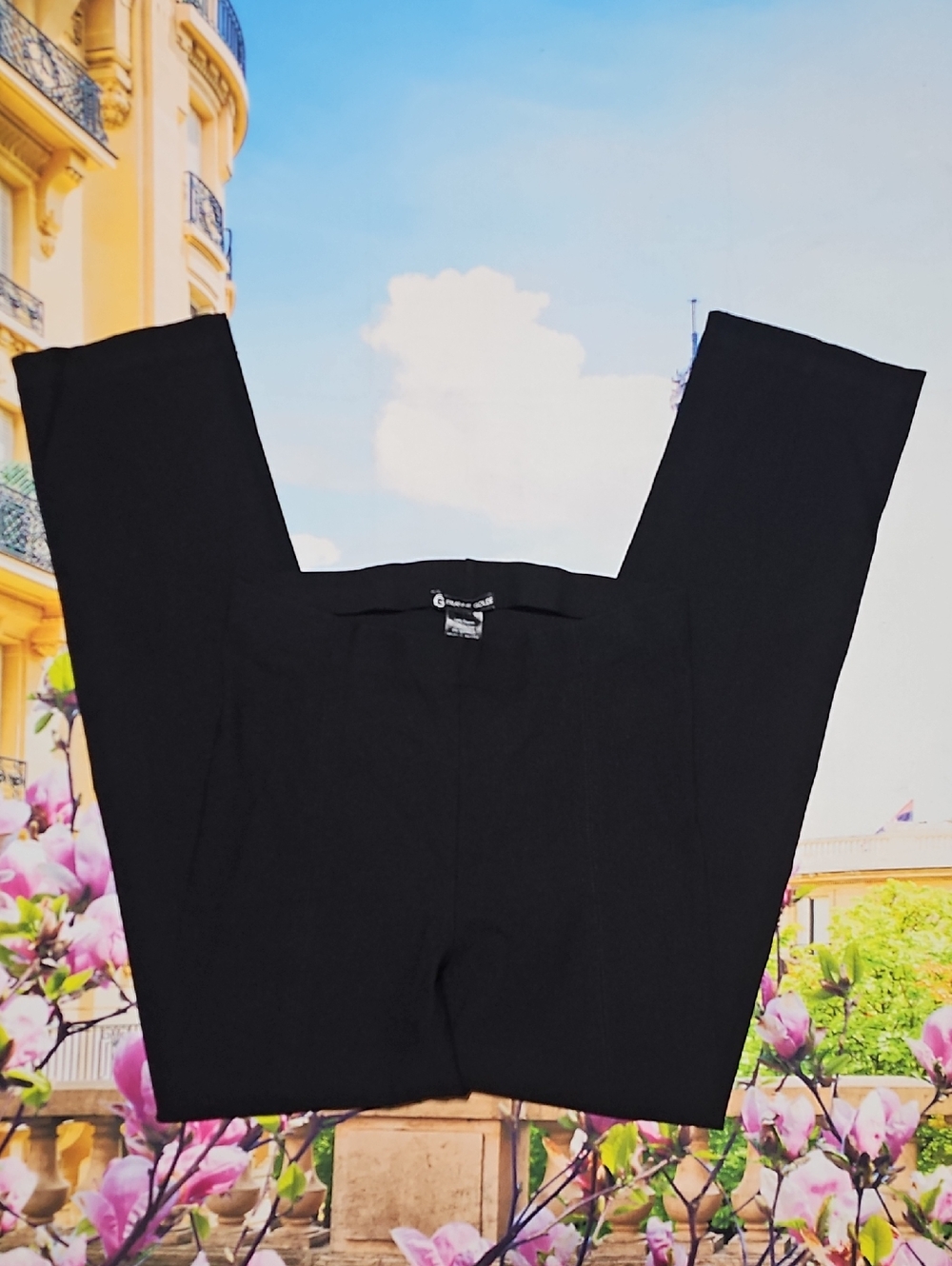 Franne Golde Sleek Black Pants Size Small